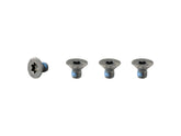 Trek 2021-2024 TQ & Fazua Motor Armor Hardware Black M4 x 6mm